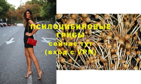 стафф Беломорск