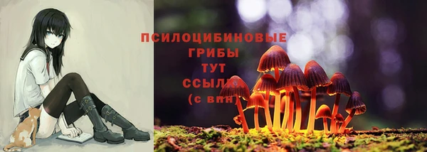 кокс Белокуриха