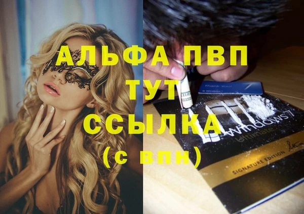 кокс Белокуриха