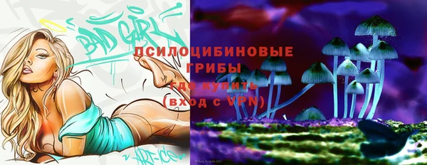тгк Сосновка