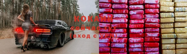 кокс Белокуриха