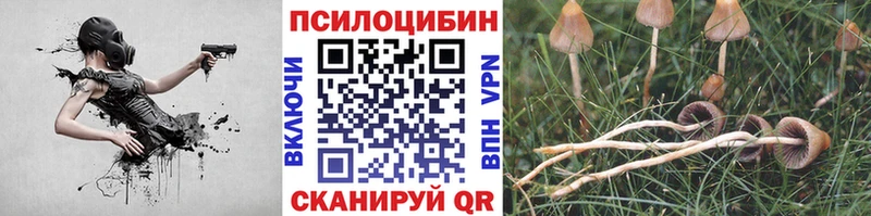 Псилоцибиновые грибы MAGIC MUSHROOMS  Павловск 